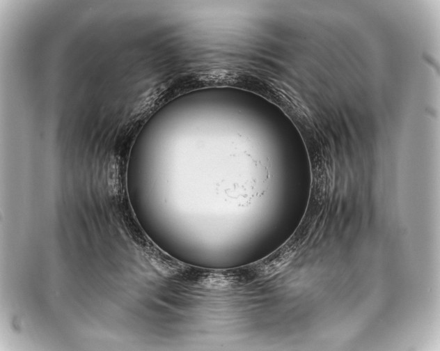 X0000098080416200804181203