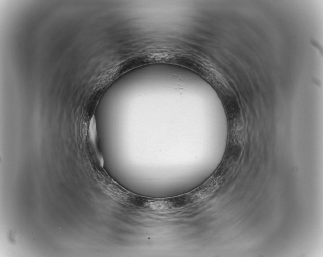 X0000098080417200804181203