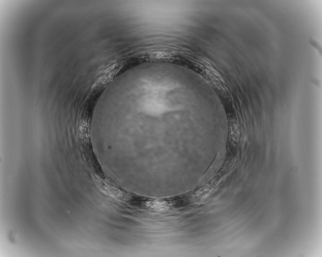 X0000098080419200804181203