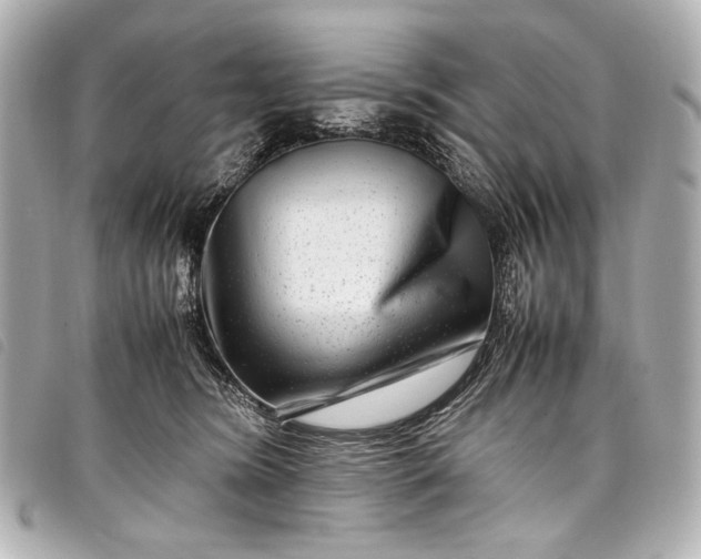 X0000098080420200804181203