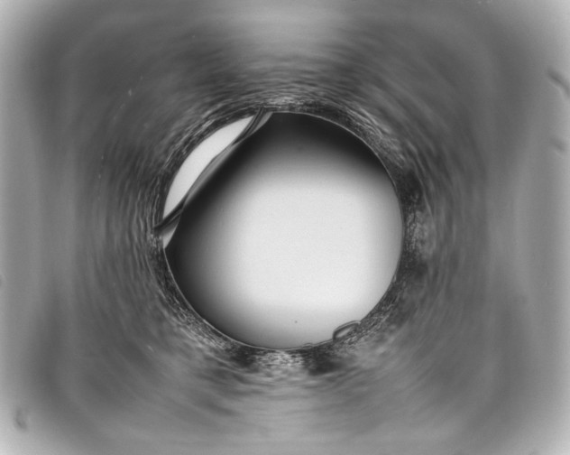 X0000098080421200804181203