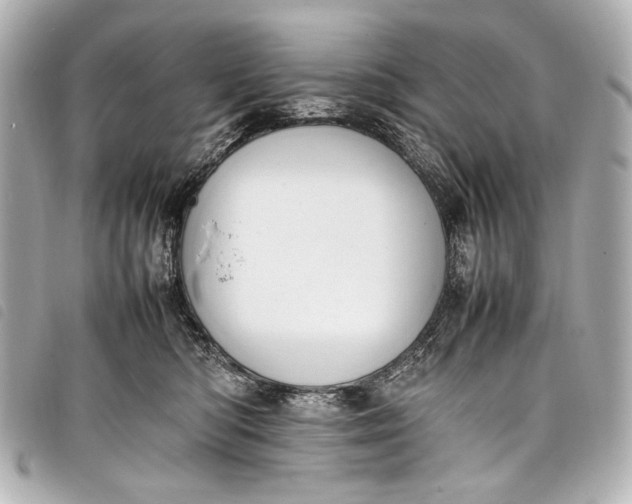 X0000098080422200804181203