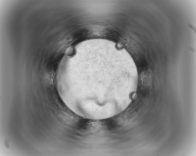 X0000098080423200804181203