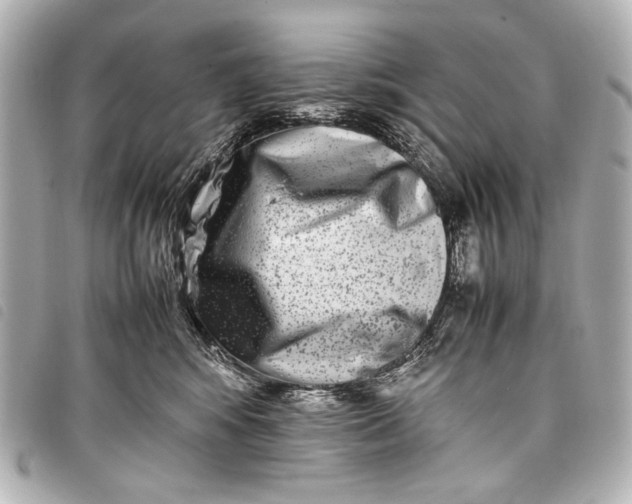 X0000098080424200804181203