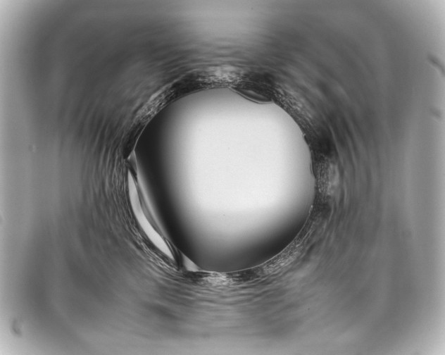 X0000098080425200804181203