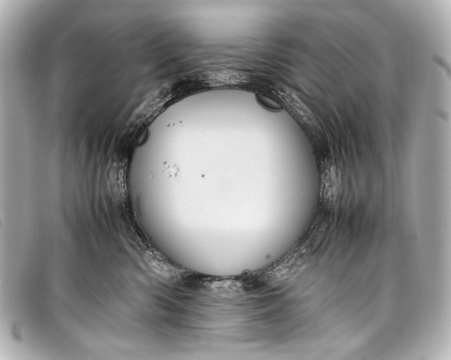 X0000098080426200804181203