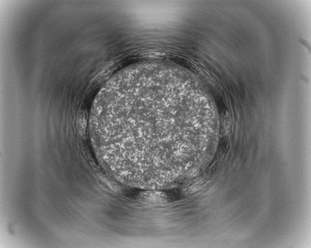 X0000098080427200804181203