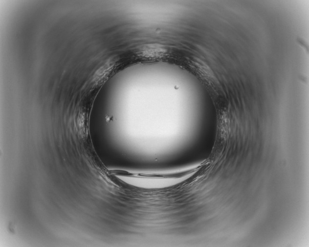 X0000098080428200804181203