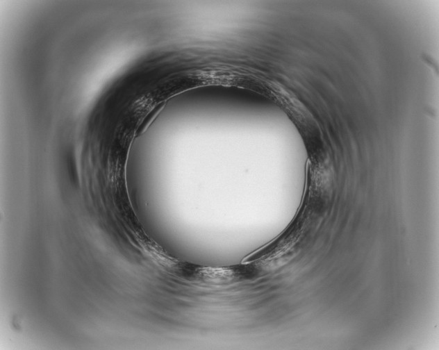 X0000098080429200804181203