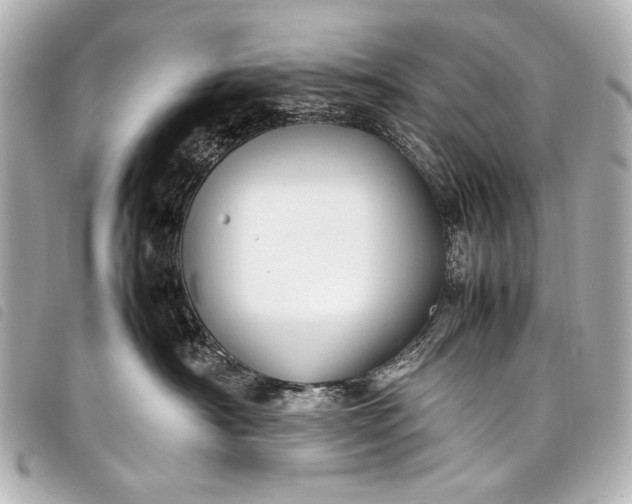 X0000098080430200804181203