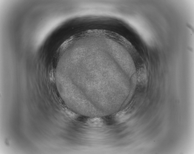 X0000098080431200804181203