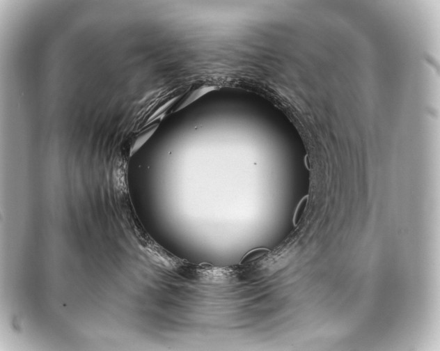 X0000098080432200804181203