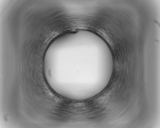 X0000098080433200804181202