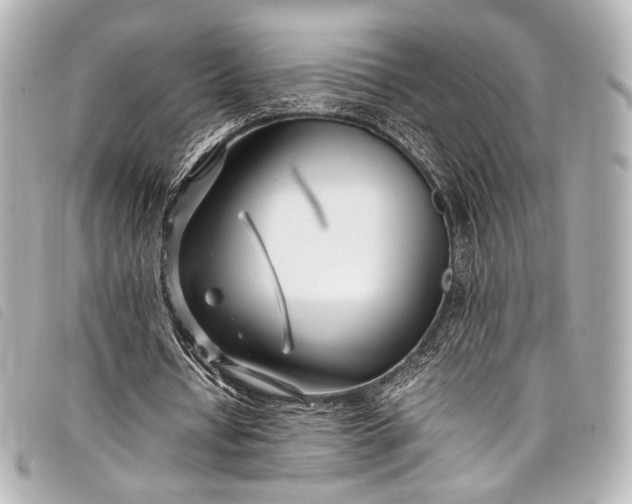 X0000098080434200804181202