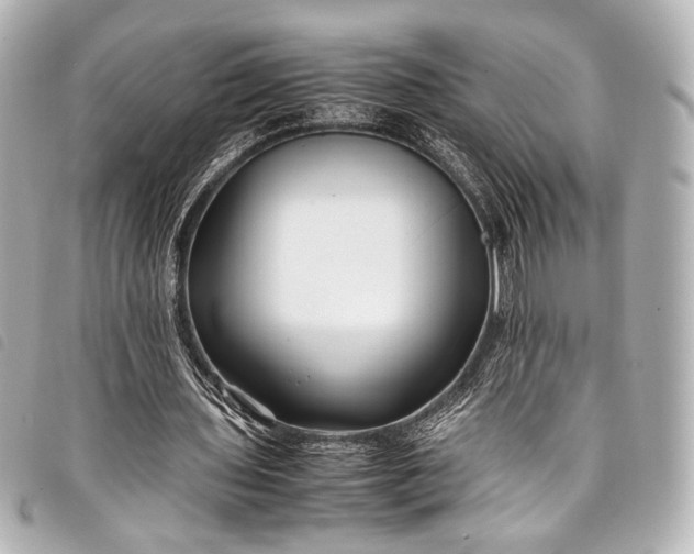 X0000098080435200804181202