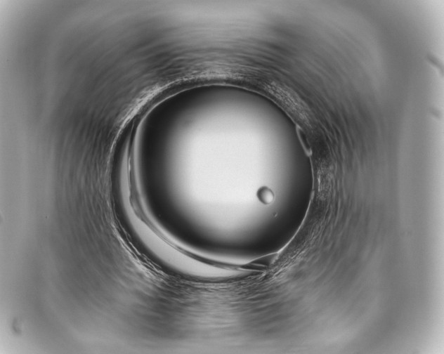 X0000098080436200804181202