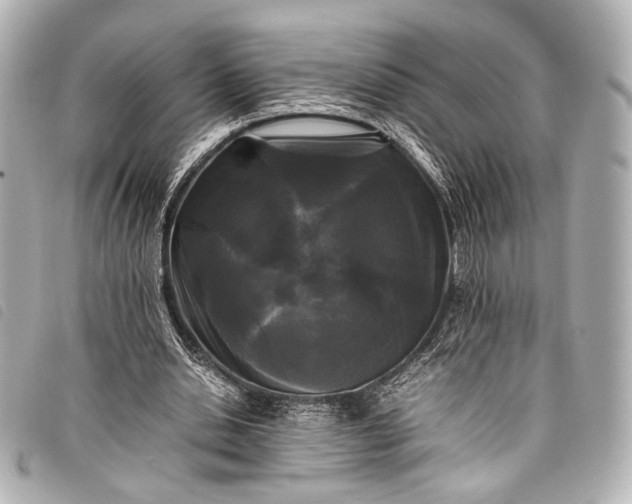 X0000098080438200804181202