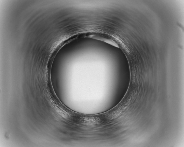 X0000098080439200804181202