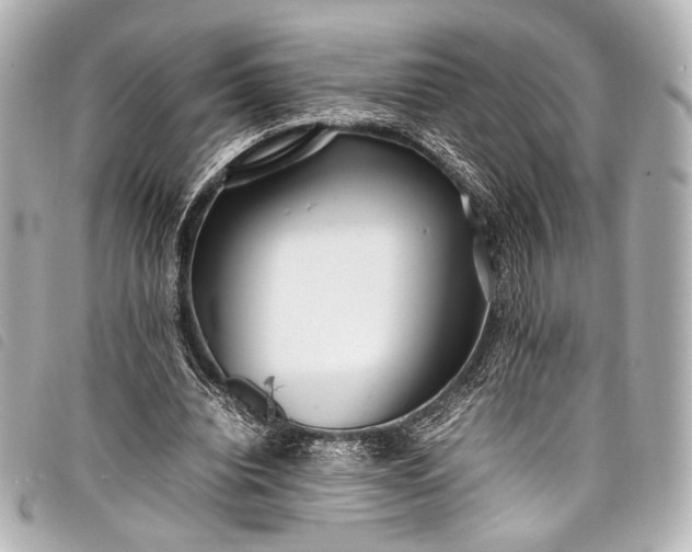 X0000098080440200804181202