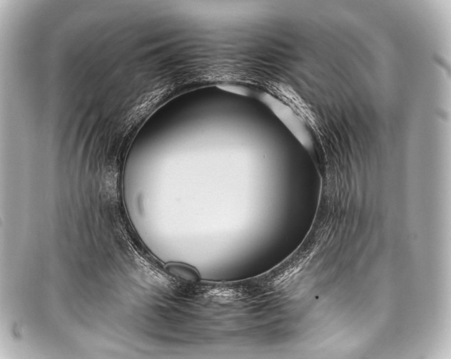 X0000098080441200804181202