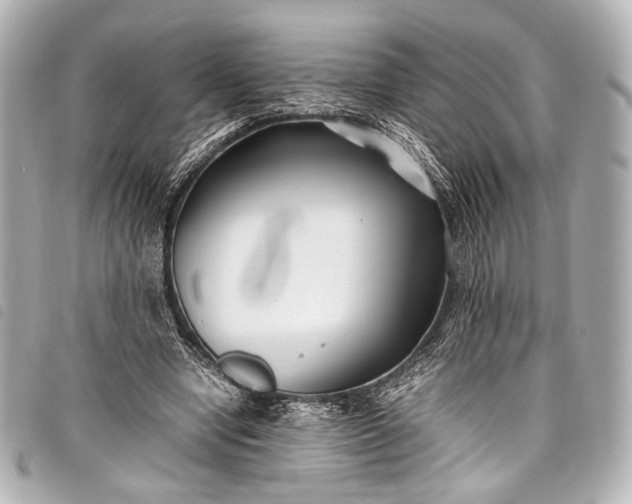 X0000098080442200804181202