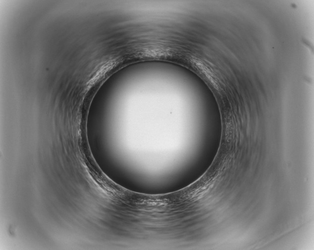 X0000098080443200804181202