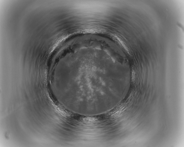 X0000098080444200804181203