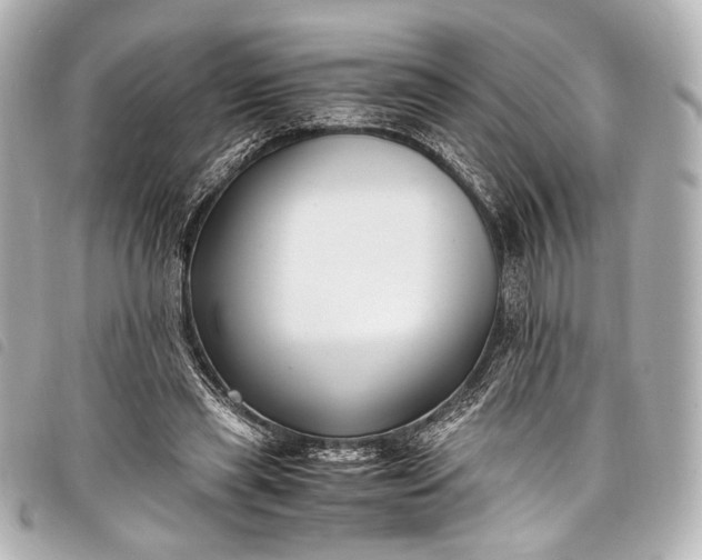 X0000098080445200804181203