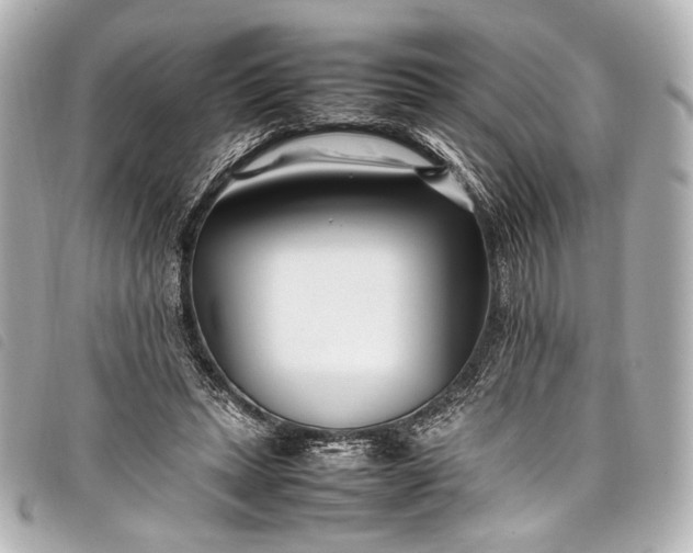 X0000098080447200804181203