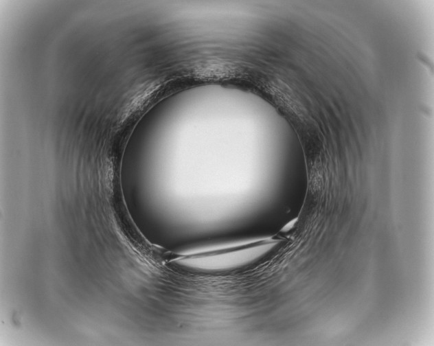 X0000098080448200804181203