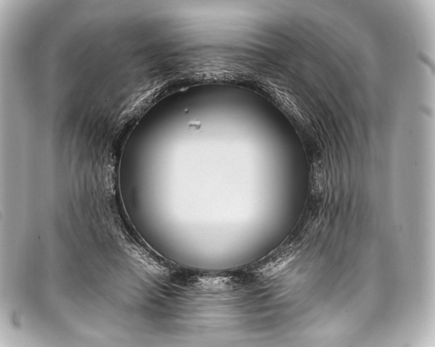 X0000098080450200804181203