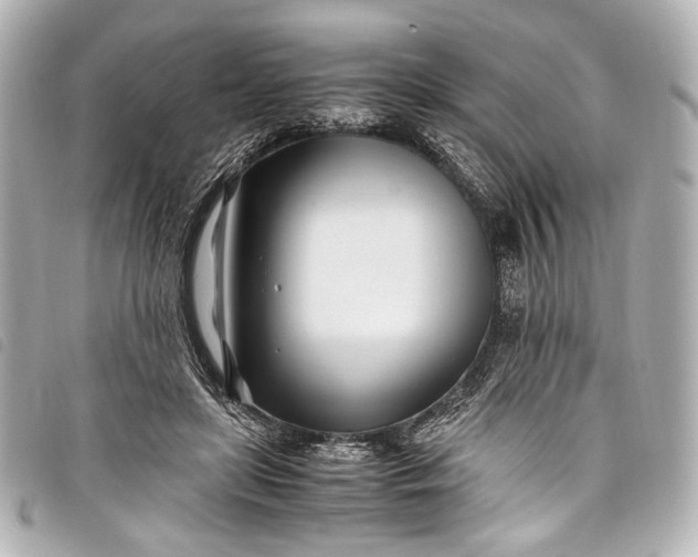 X0000098080451200804181203