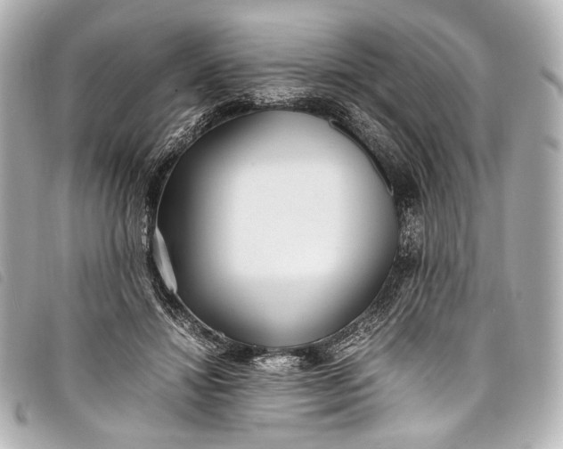 X0000098080452200804181203