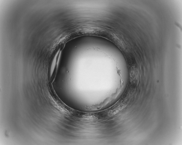 X0000098080454200804181203