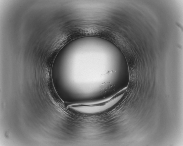 X0000098080456200804181203