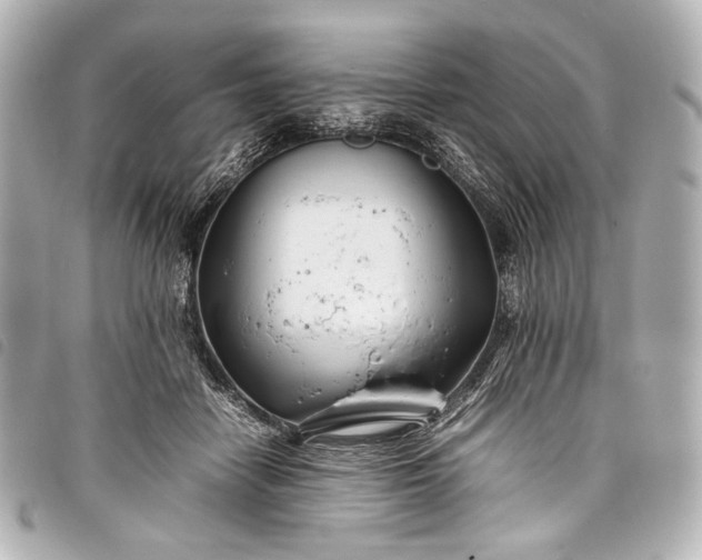 X0000098080458200804181203