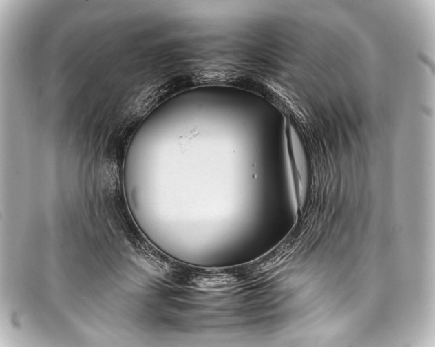 X0000098080459200804181203