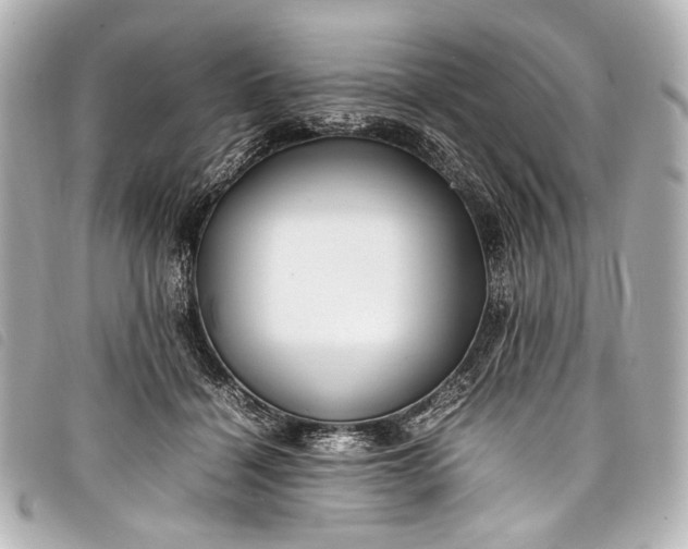 X0000098080460200804181203