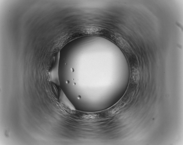 X0000098080461200804181203