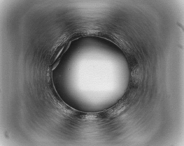 X0000098080462200804181203