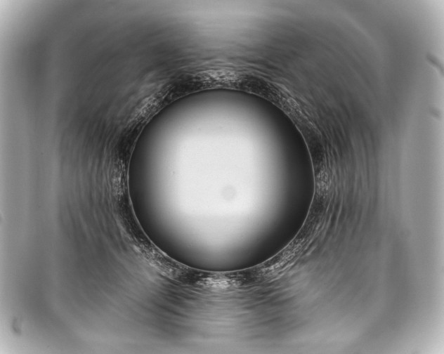 X0000098080464200804181203