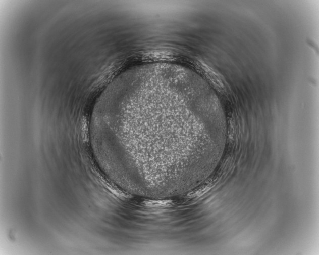 X0000098080465200804181203