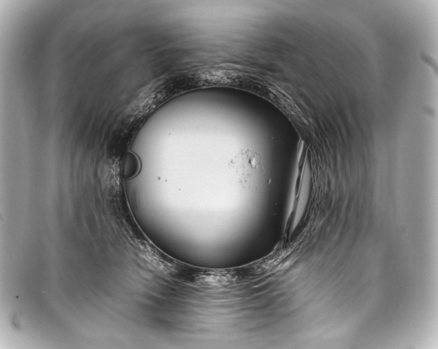 X0000098080466200804181203