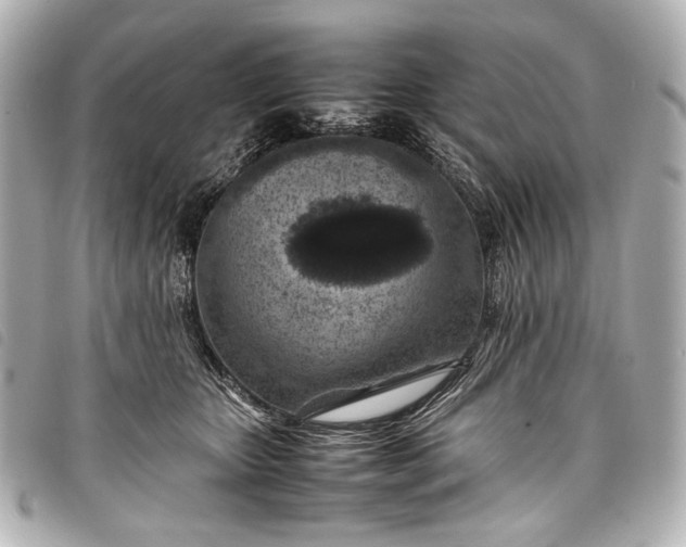 X0000098080467200804181203