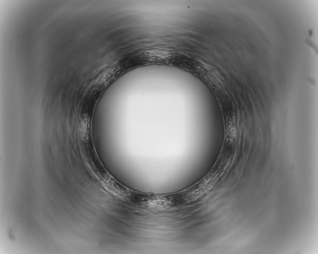 X0000098080468200804181203