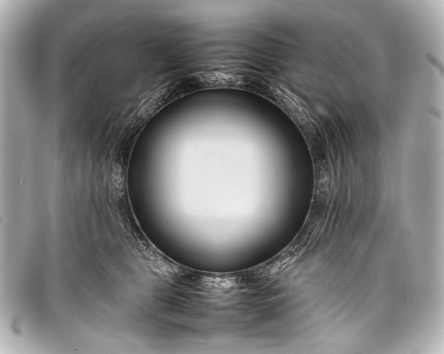 X0000098080469200804181203