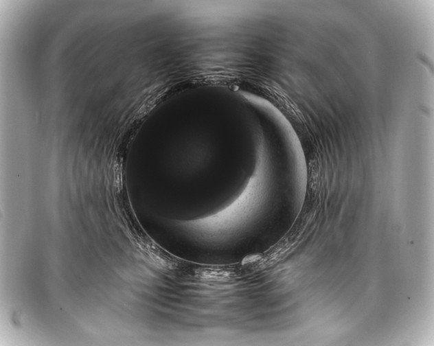 X0000098080471200804181203