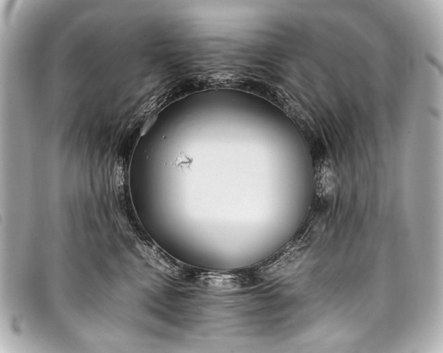 X0000098080472200804181203