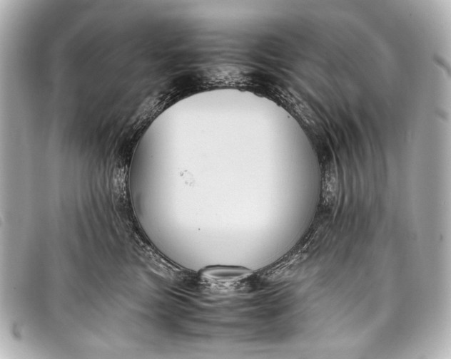 X0000098080473200804181203