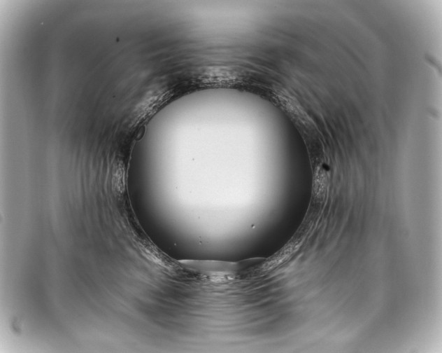 X0000098080474200804181203